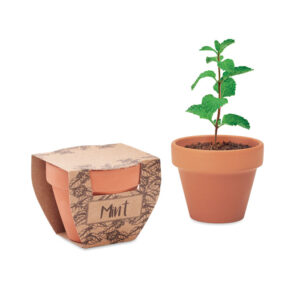 Nasiona mięty w doniczce - MINT POT