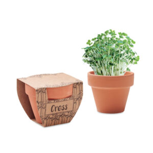 Nasiona rzeżuchy w doniczce - CRESS POT