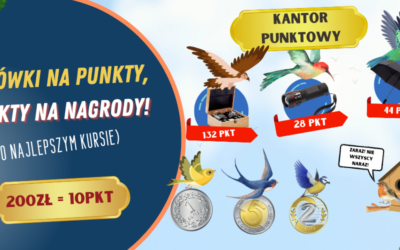 Nowy Program Lojalnościowy w TOPGA – Korzyści, które się Opłacają!