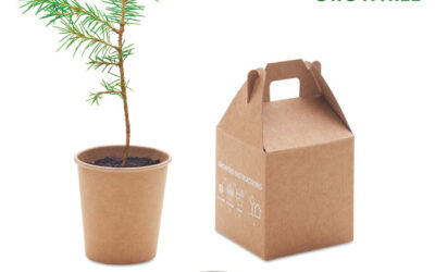 Nasiono sosny – unikalny prezent reklamowy dla Twoich klientów