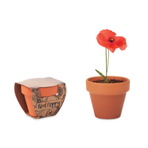 RED POPPY - Doniczka, mak