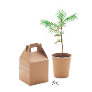 GROWTREE™ - Nasiona sosny, torf, doniczka