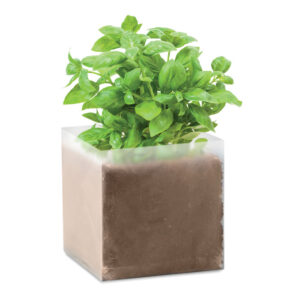 BASIL - Zestaw do uprawy "Bazylia"
