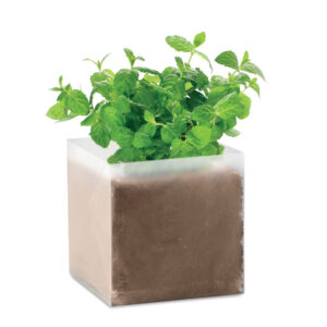 MINT - Zestaw do uprawy "Mięta "